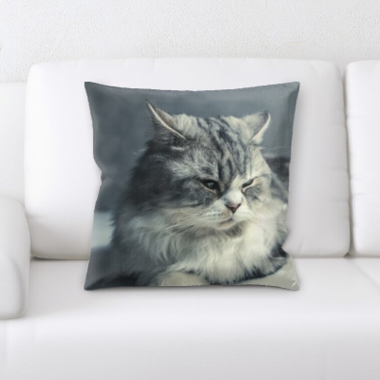 cat throw pillow